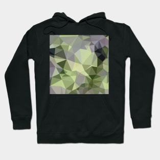 Asparagus Green Abstract Low Polygon Background Hoodie